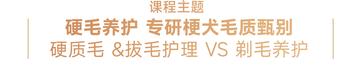 topic