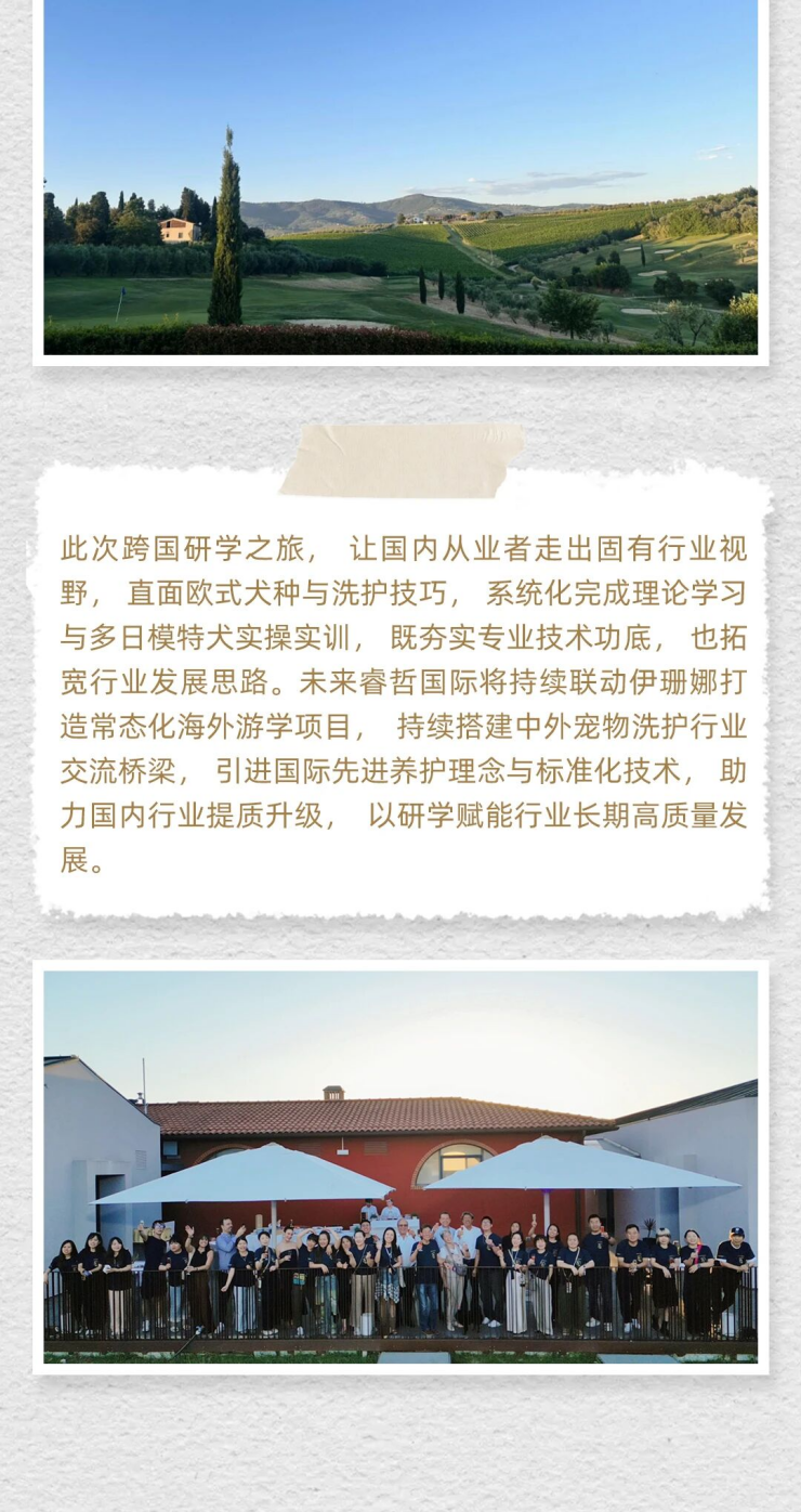 image.gif